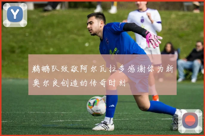 鹈鹕队致敬阿尔瓦拉多感谢你为新奥尔良创造的传奇时刻