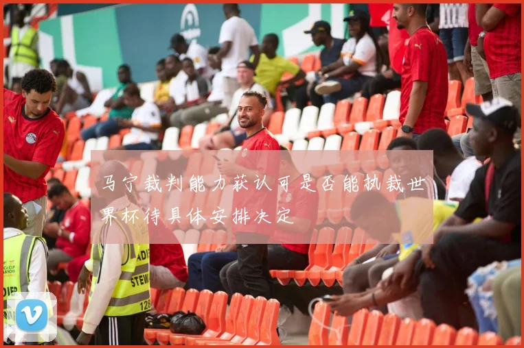 马宁裁判能力获认可是否能执裁世界杯待具体安排决定